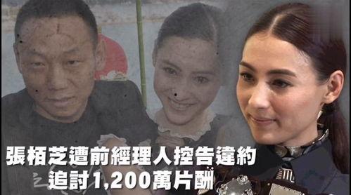 吃瓜娛樂奇葩,揭秘奇葩事件背后的真相與笑料