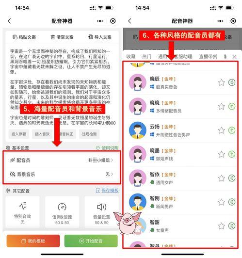 娛樂吃瓜配音用什么軟件